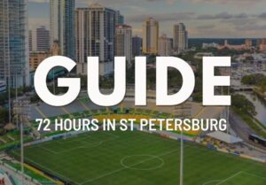 snowbirds in St. Petersburg, FL